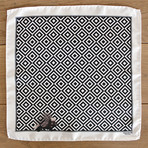 The Stuck Porcupine // Black + White