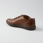 Justin Low Lace Sneaker // Brown (US: 8.5)