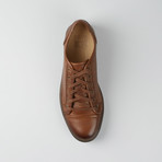 Justin Low Lace Sneaker // Brown (US: 8.5)