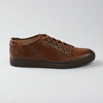 Justin Low Lace Sneaker // Brown (US: 8)