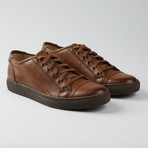 Justin Low Lace Sneaker // Brown (US: 8)