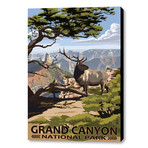 Grand Canyon National Park II