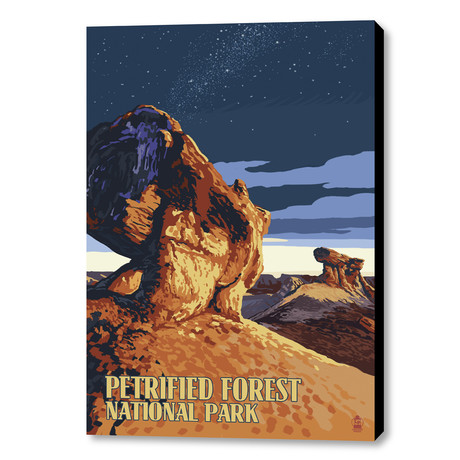 Petrefied Forest National Park