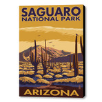 Saguro National Park