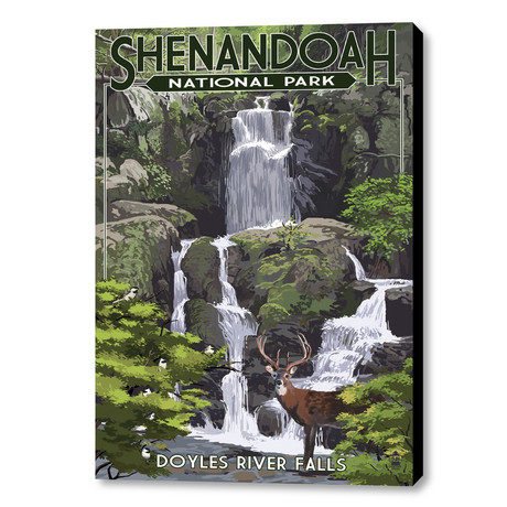Shenandoah National Park // Doyles River Falls