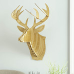 Bucky // Bamboo Wood Deer Head (Medium)