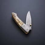 Damascus Folding Drop Point Pocket Knife // Sheep Horn