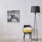 I Don't Read What I Believe In The Papers (18"W x 18"H x 0.75"D)