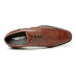 Square Toe Wing Tip Derby // Brown (Euro: 40)