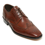 Square Toe Wing Tip Derby // Brown (Euro: 46)