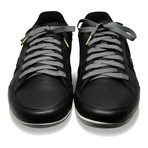 Sneaker Laces // Emu Grey (Silver Tips)