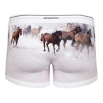 Horses Boxer Brief // Brown + White (S)