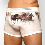 Horses Boxer Brief // Brown + White (S)