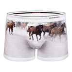 Horses Boxer Brief // Brown + White (S)