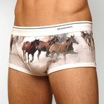 Horses Trunk // Brown + White (M)