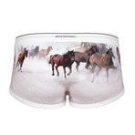 Horses Trunk // Brown + White (M)