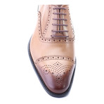 Aadit Perforated Captoe Derby // Walnut (Euro: 40)