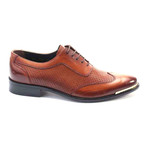 Aamod Perforated Wingtip Oxford // Antique Brown (Euro: 40)