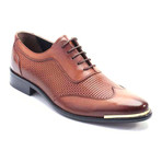 Aamod Perforated Wingtip Oxford // Antique Brown (Euro: 43)