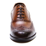 Medallion Wing-Tip Oxford // Brown + Tobacco (Euro: 40)