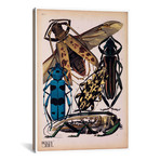 Insects, Plate 13 by E.A. Seguy by Print Collection (18"W x 26"H x 0.75"D)