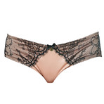 Chantilly Blush Brief (X-Small)