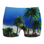 Beach Boxer Brief // Multi (L)