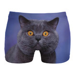 British Cat Boxer Brief // Multi (L)