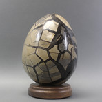 Septarian Egg (4.75")