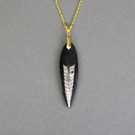 Orthoceras Fossil Pendant (Silver Chain)