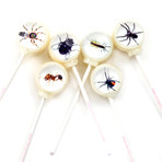 Insects Lollipops // 6 Piece
