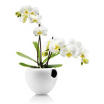 Self-Watering Orchid Pot (White)