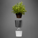 Self-Watering Herb Pot (Chalk White)