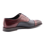 Two Tone Brogue // Burgundy + Navy (Euro: 41)
