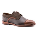 Toe Cap Oxford // Brown (Euro: 40)