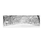 NYC // Central Park (60"W x 20"H x 1.5"D)