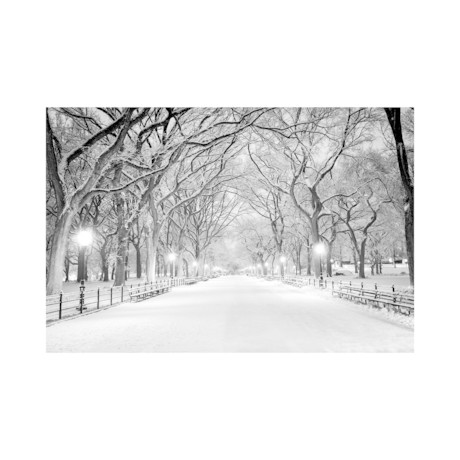 NYC // Central Park (60"W x 20"H x 1.5"D)