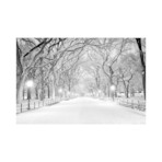 NYC // Central Park (60"W x 20"H x 1.5"D)