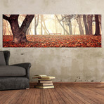 Autumn Bench (60"W x 20"H x 1.5"D)