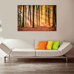 Autumn Trees At Sunset (60"W x 20"H x 1.5"D)