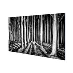 Black And White Path (59"W x 39"H x 1"D)