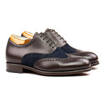 Brogue // Brown + Navy (US: 9.5)