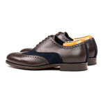 Brogue // Brown + Navy (US: 7)