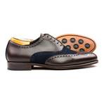 Brogue // Brown + Navy (US: 10)