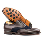 Brogue // Brown + Navy (US: 8.5)