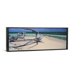 Driftwood on the beach, Green Island, Great Barrier Reef, Qu (36"W x 12"D x 1.5"D)