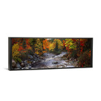 Stream with trees in a forest in autumn, Nova Scotia, Canada (36"W x 12"D x 1.5"D)