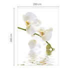 Orchid Waters Wall Mural