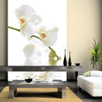 Orchid Waters Wall Mural