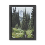 Garibaldi, Canada // Poster Print (Unframed: 8"W x 10"H)